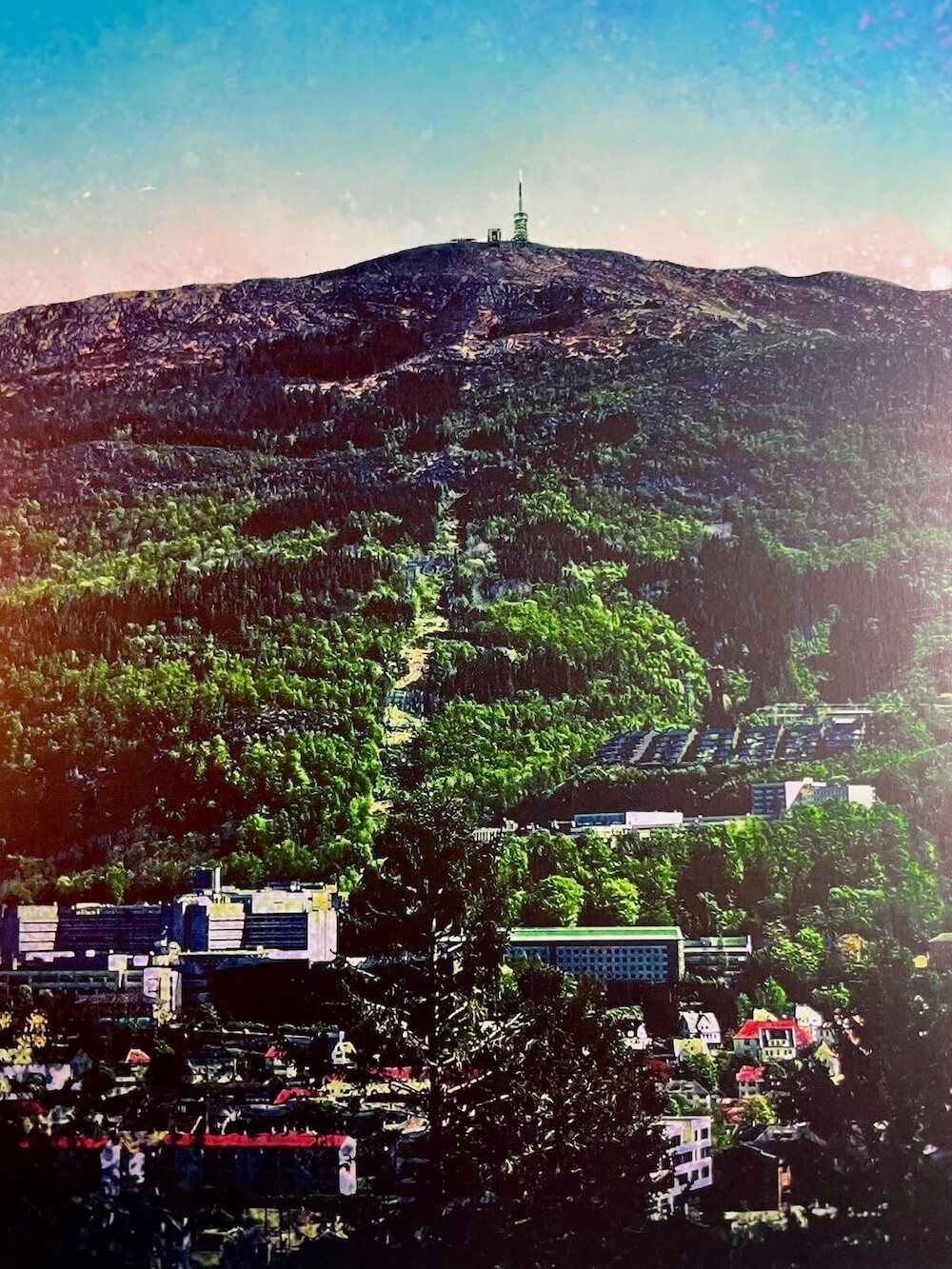 Reisen mot Ulriken closeup 3