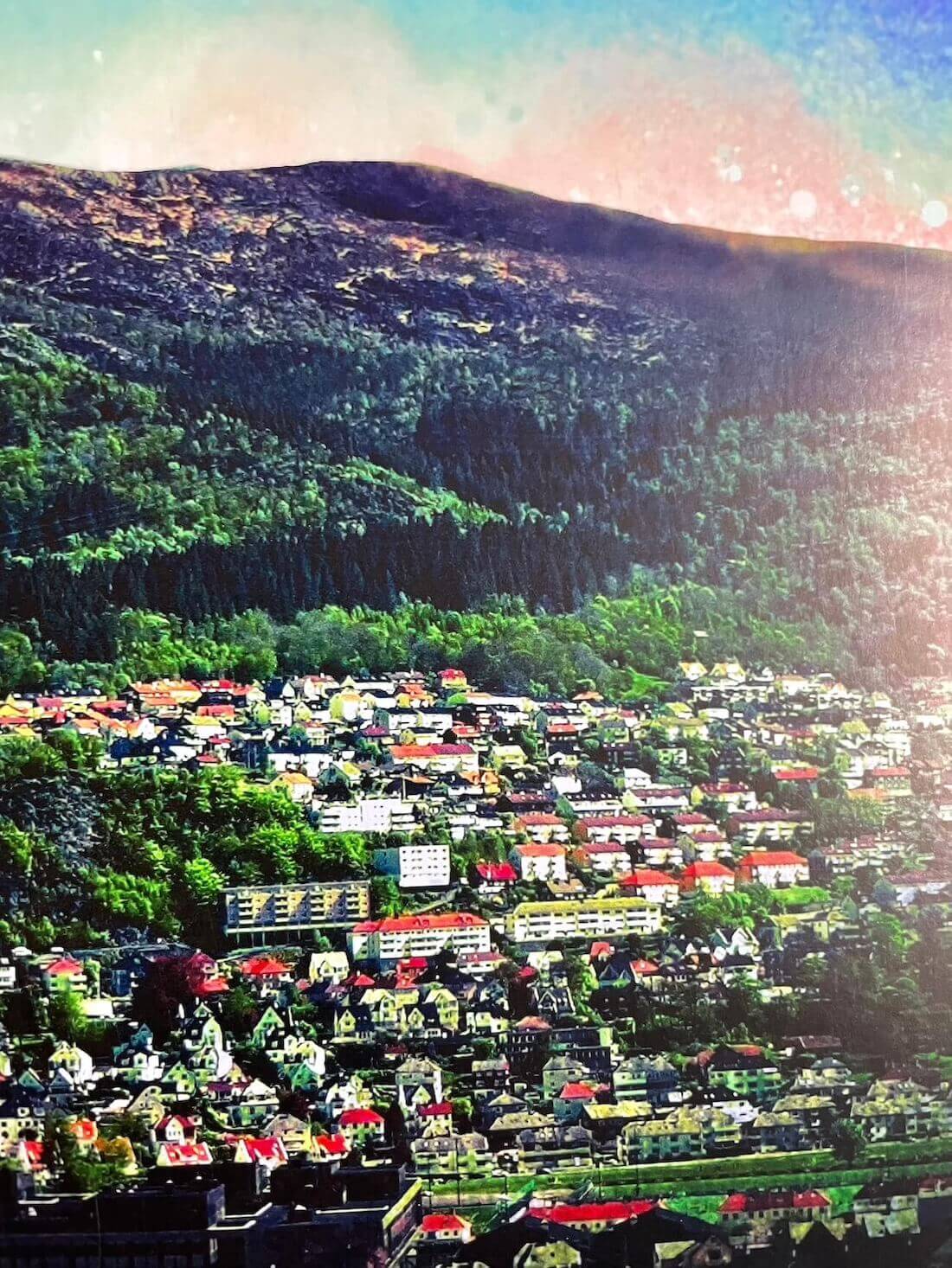 Reisen mot Ulriken closeup 4