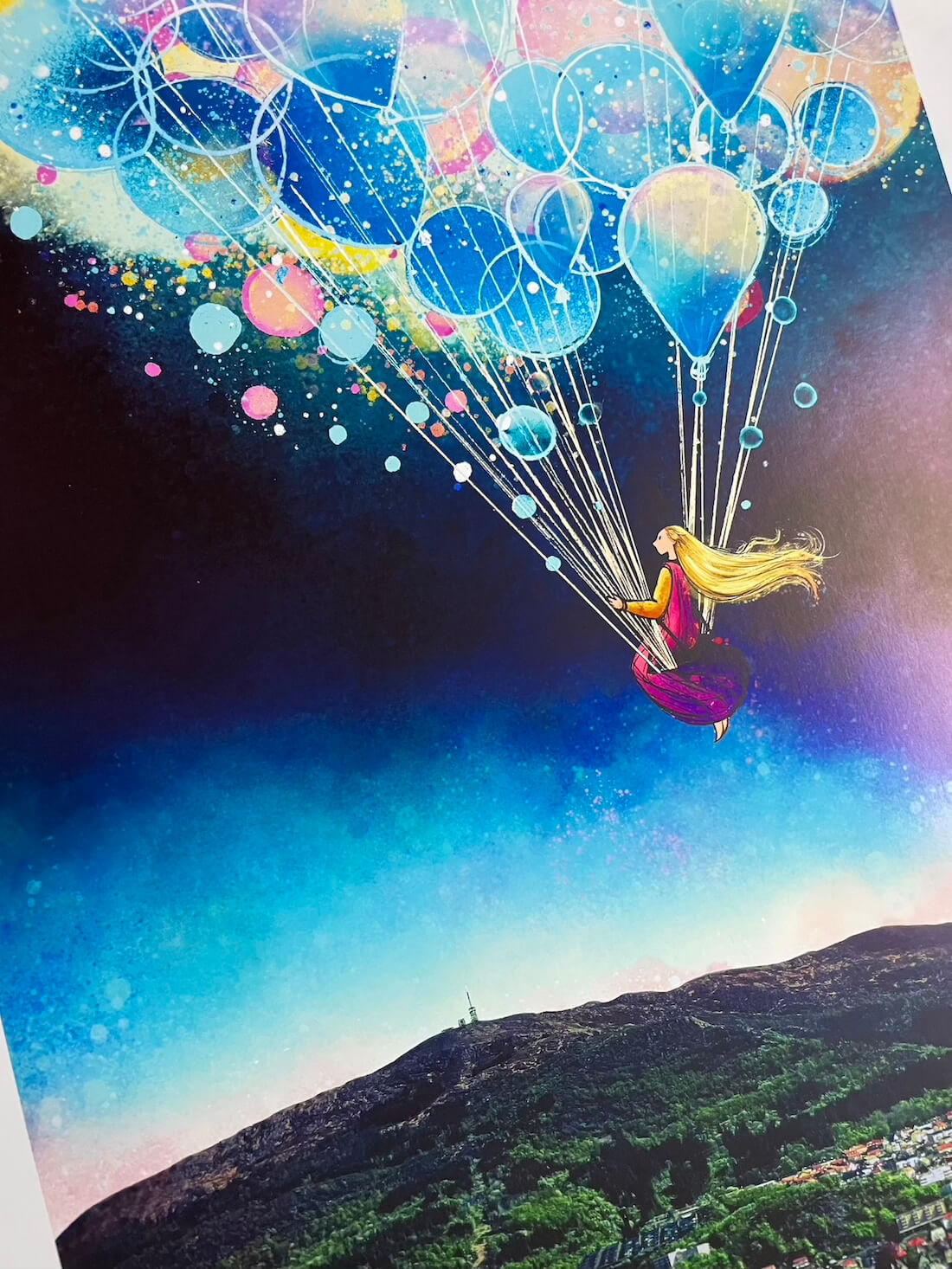 Reisen til Ulriken close up 3